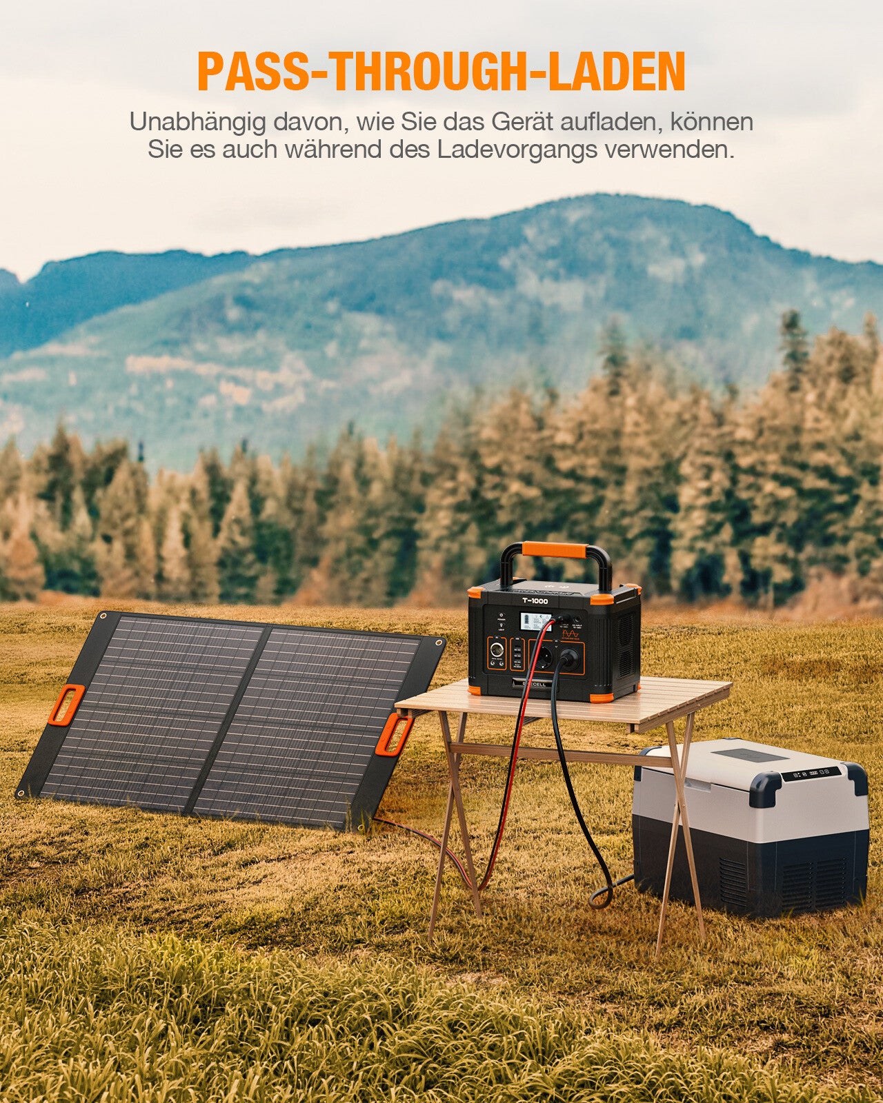 GRECELL 1000W Portable Power Station With 2 x 100W Solar Panels【European specification】